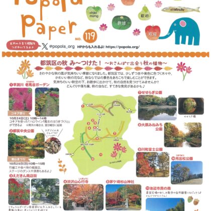 information image